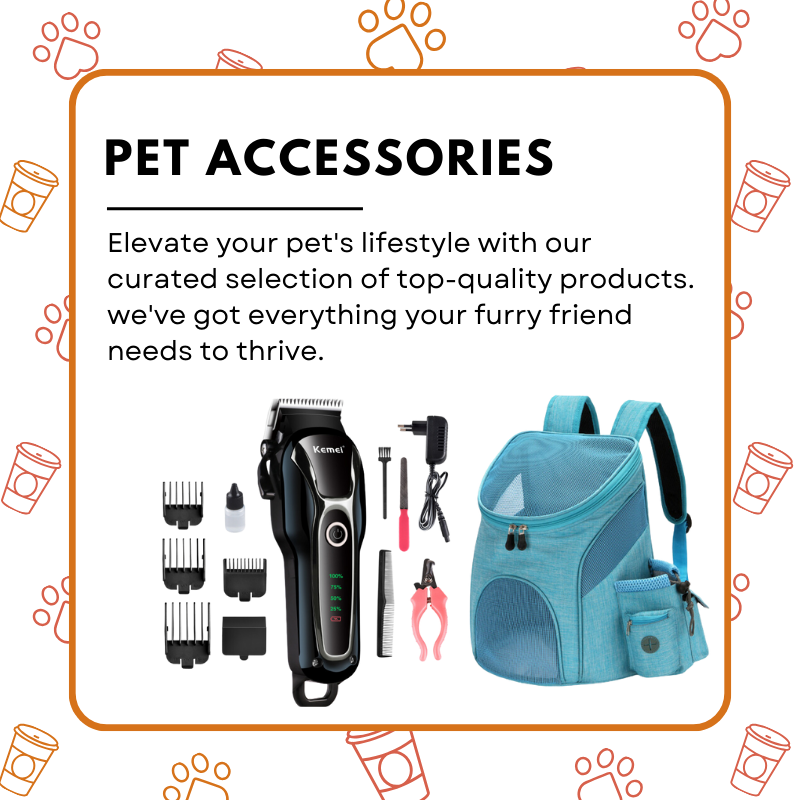 Pet Accessories