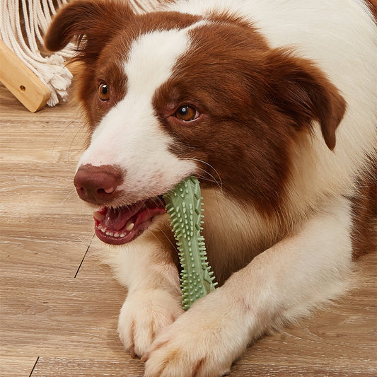 Chewing Dog Toothbrush Kong Toy