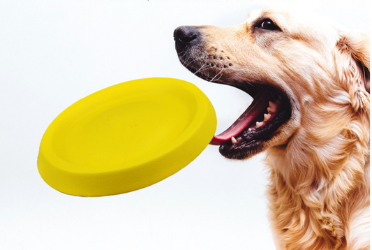 Pet Throwing Plastic Toys