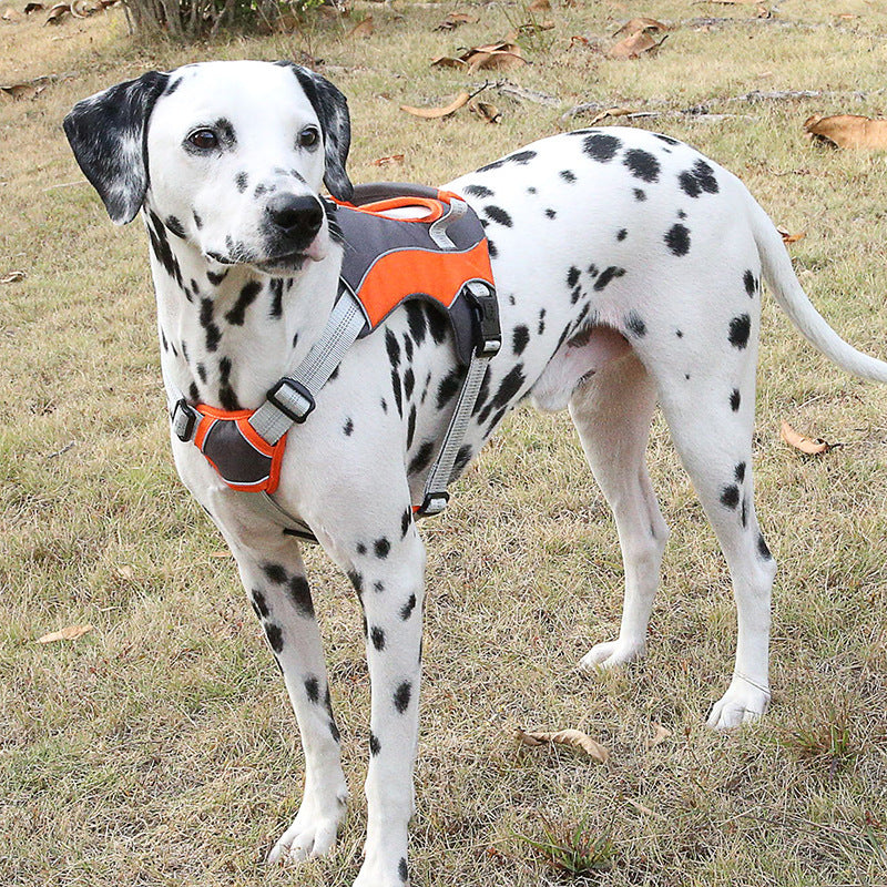 Pet Reflective Vest Leashes