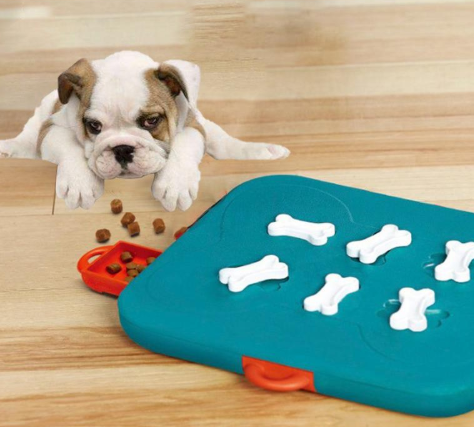 Treasure Hunt Food Spill Toy