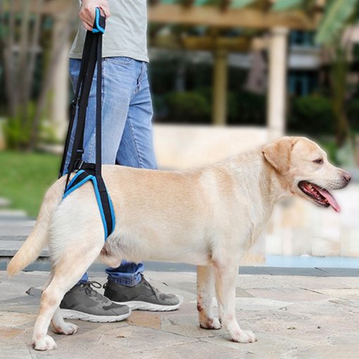 Dog Leg Harness