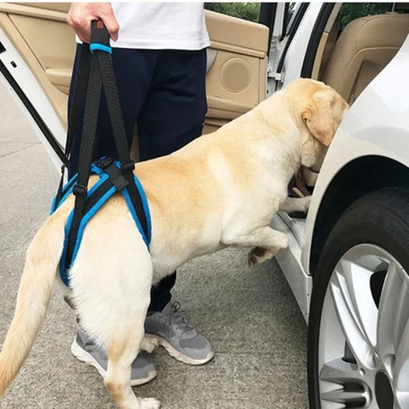 Dog Leg Harness