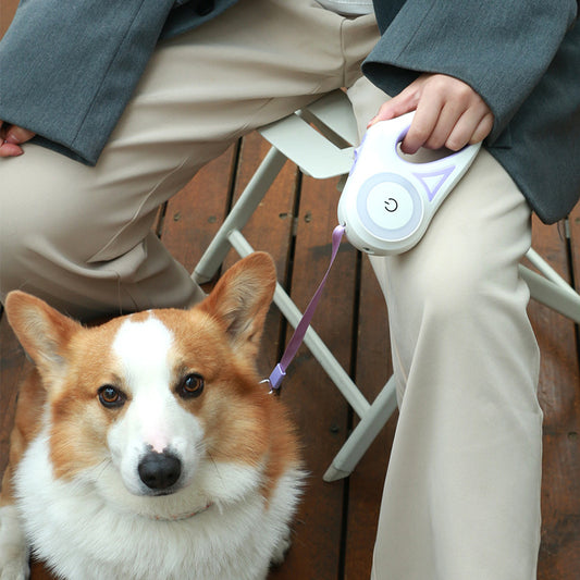 Pet Retractable Leash And Collar