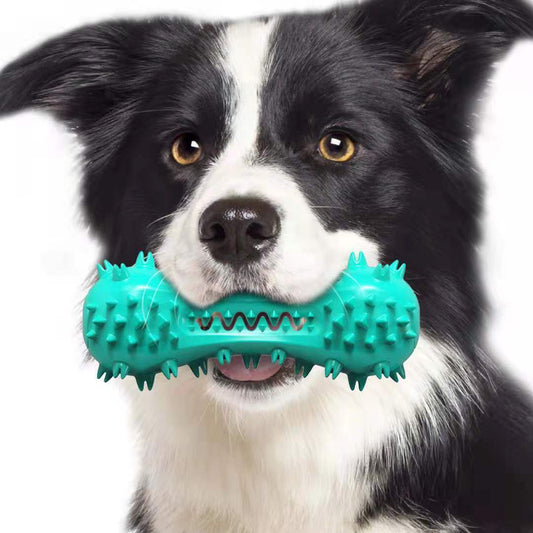 Pet Cleaning Chew Toy